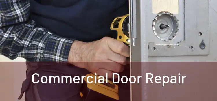 Commercial Door Repair