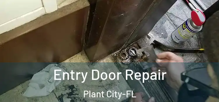  Entry Door Repair Plant City-FL
