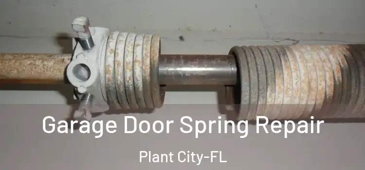 Garage Door Spring Repair Plant City-FL