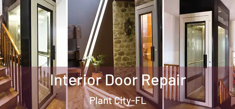  Interior Door Repair Plant City-FL
