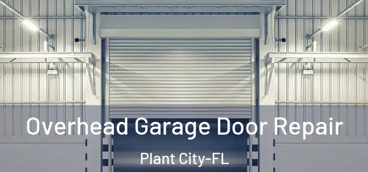  Overhead Garage Door Repair Plant City-FL