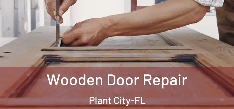  Wooden Door Repair Plant City-FL